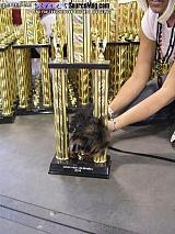 mgnats Show Images Page 3